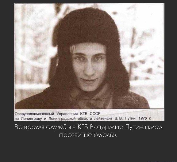 577x530, 41 Kb / путин, ушанка, моль, кгб