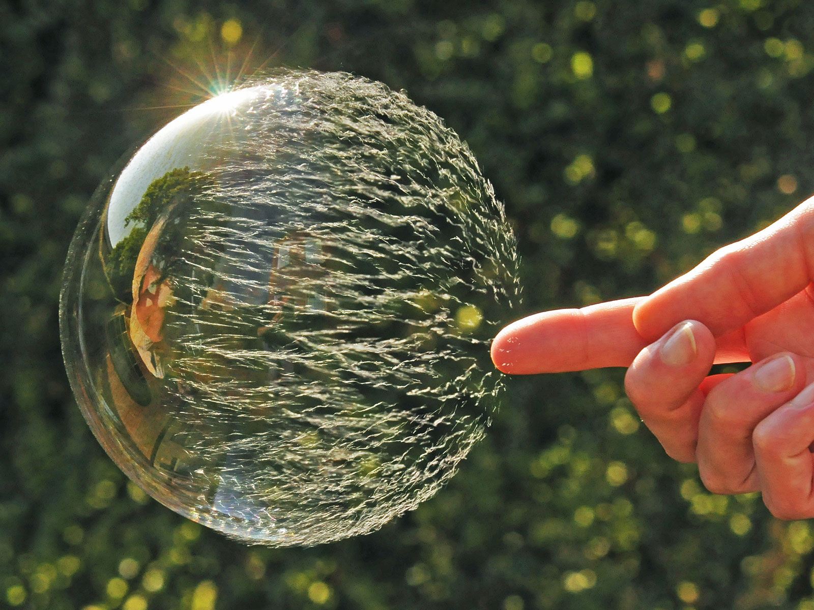 1600x1200, 410 Kb / воздушная медуза, шар, палец