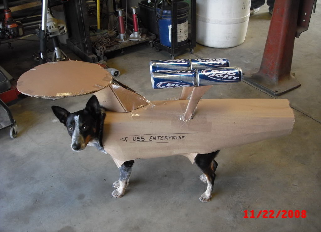 1022x739, 152 Kb / собака