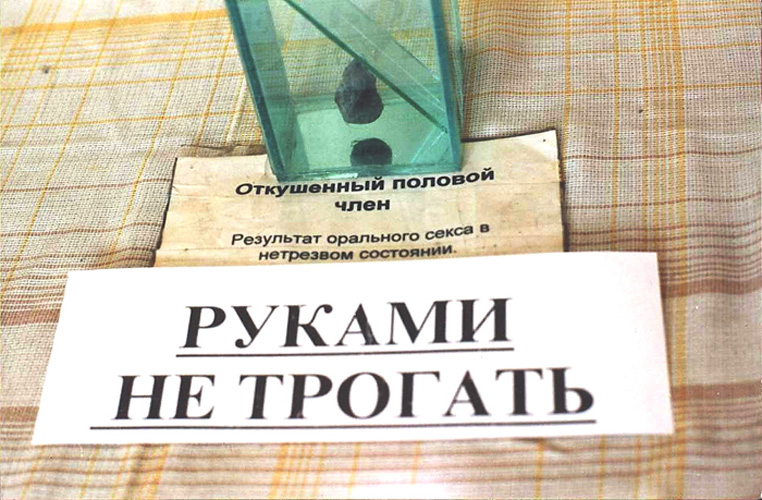 762x500, 162 Kb / член, экспонат