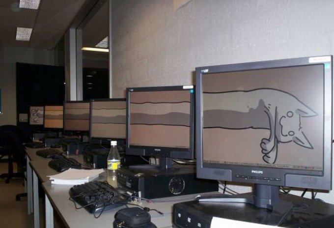 680x464, 46 Kb / Кот, фрагменты, мониторы