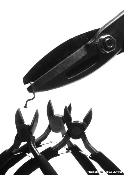 426x600, 35 Kb / инструменты, птенцы