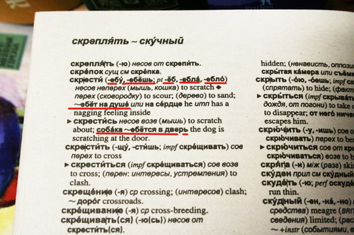 500x333, 66 Kb / словарь