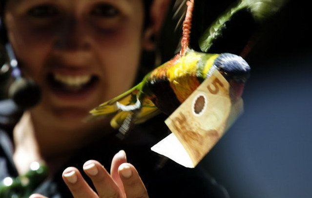 639x406, 56 Kb / евро, птица