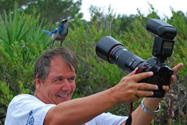 639x429, 83 Kb / фотограф, птица