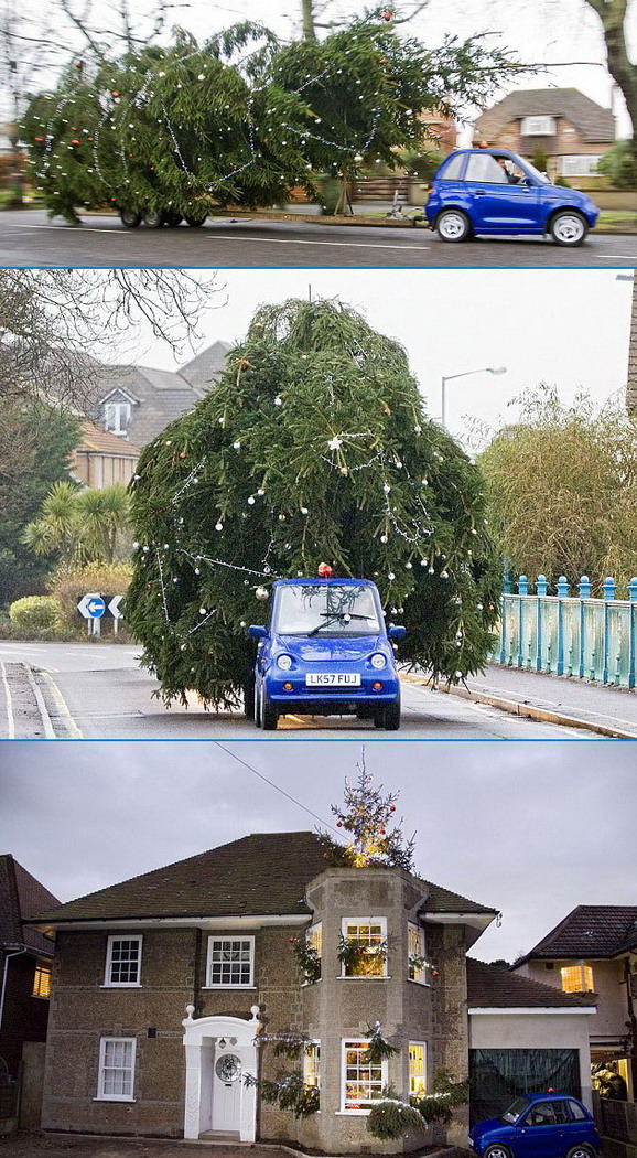 578x1050, 277 Kb / новый год, елка