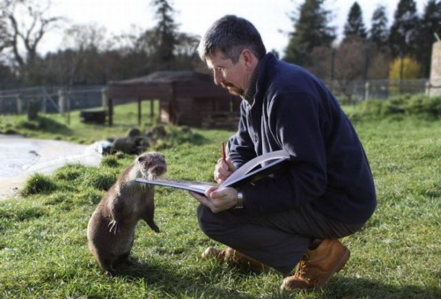 639x433, 84 Kb / контролер