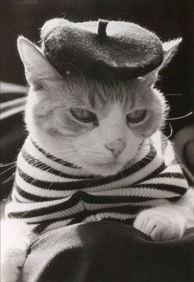 400x580, 46 Kb / кот, берет, тельняшка