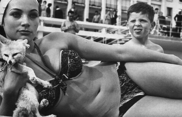 700x450, 67 Kb / ретро, ч/б, фенек, лисица