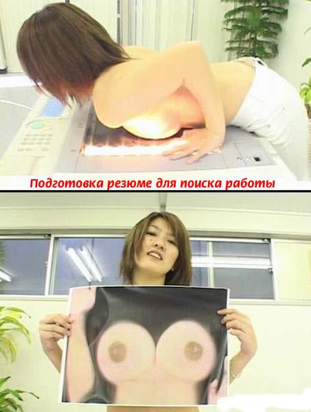 453x600, 33 Kb / копир, ксерокс, резюме