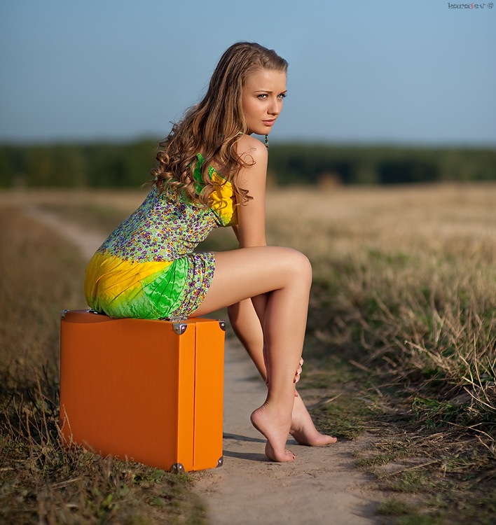 708x750, 341 Kb / чемодан