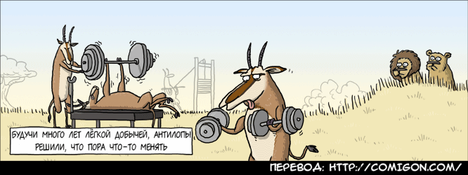 666x250, 51 Kb / антилопы, бодибилдинг