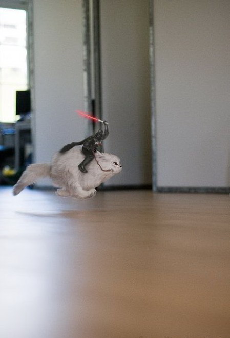 449x658, 47 Kb / кот, полет, звездные войны