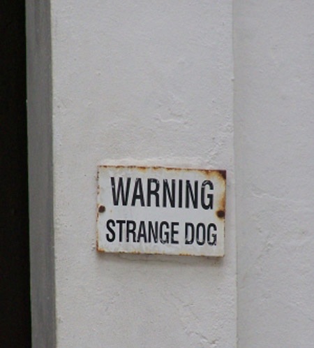 450x498, 64 Kb / странная собака