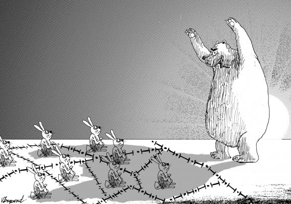 585x409, 69 Kb / медведь, зайцы, угроза