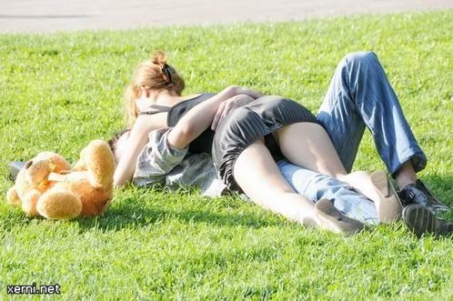 498x331, 48 Kb / мишка, игрушка