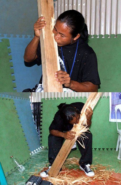 475x725, 81 Kb / Бобёр, бревно