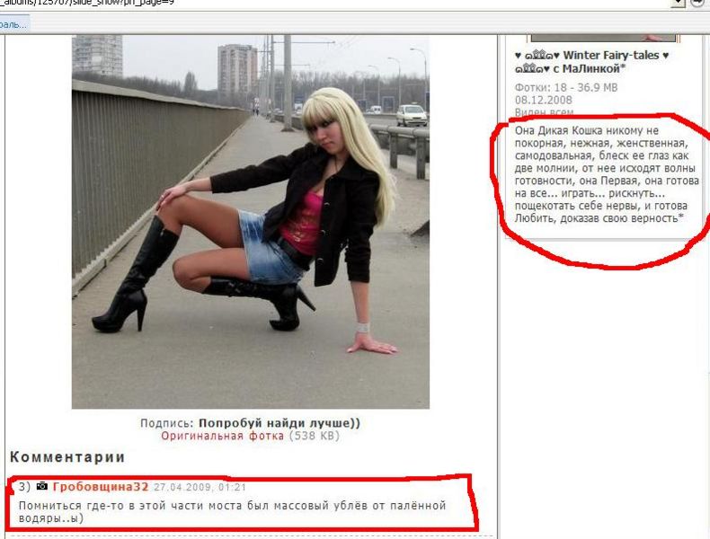 790x600, 66 Kb / блондинка, мост, фото, киса