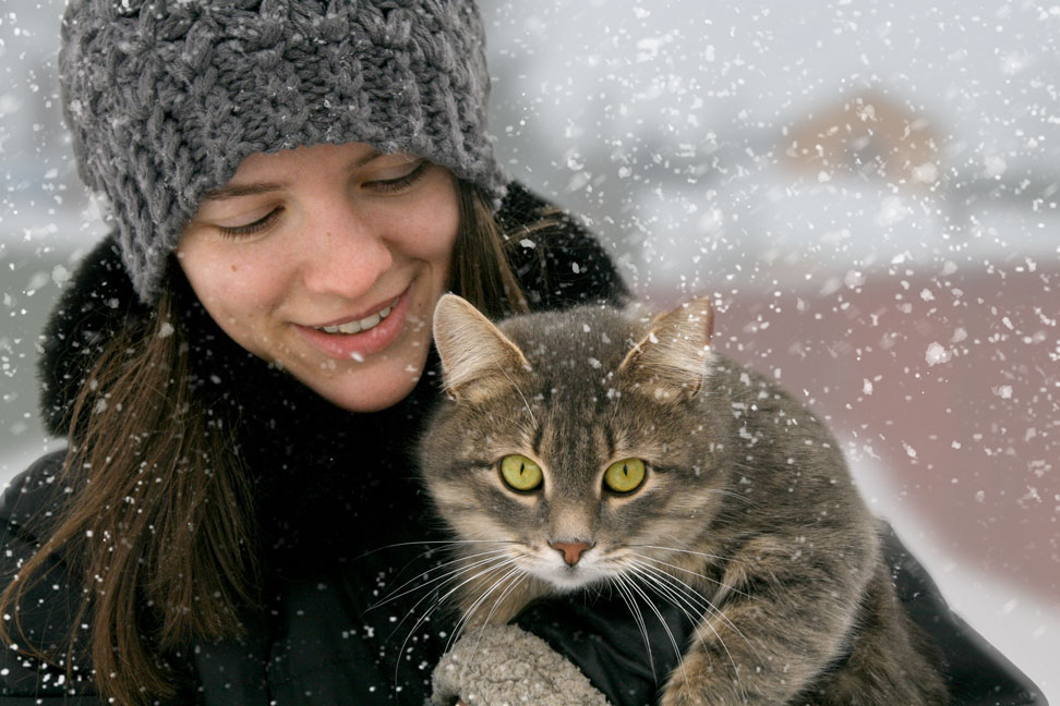 972x648, 131 Kb / девушка, кот, снег