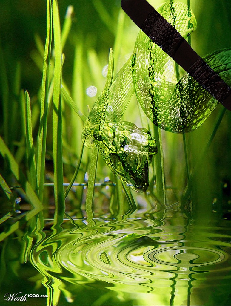 774x1024, 264 Kb / змея, вода