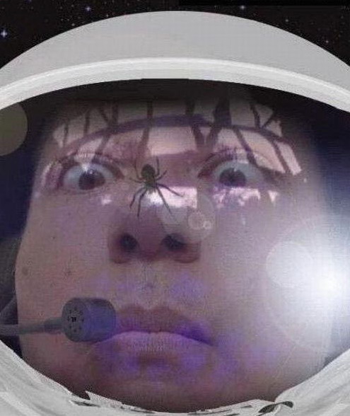 495x588, 62 Kb / космонавт, паук