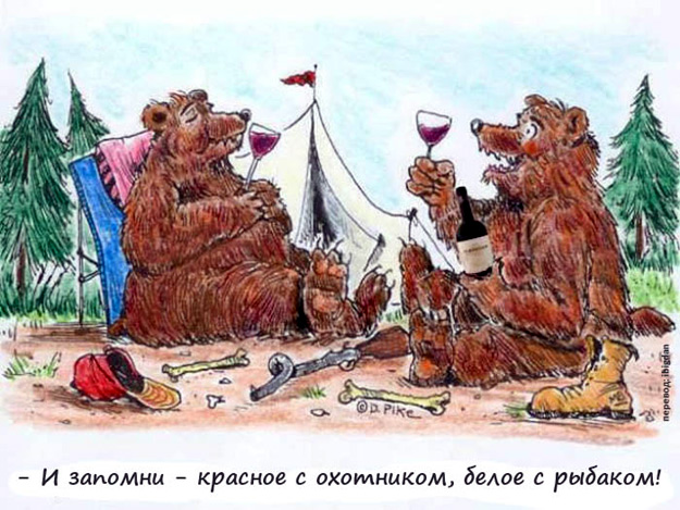 625x469, 120 Kb / медведи, вино, охотник, рыбак