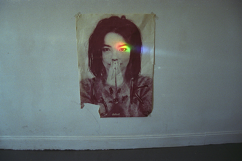 500x333, 123 Kb / лицо, свет, фото, Bjork, Бьорк