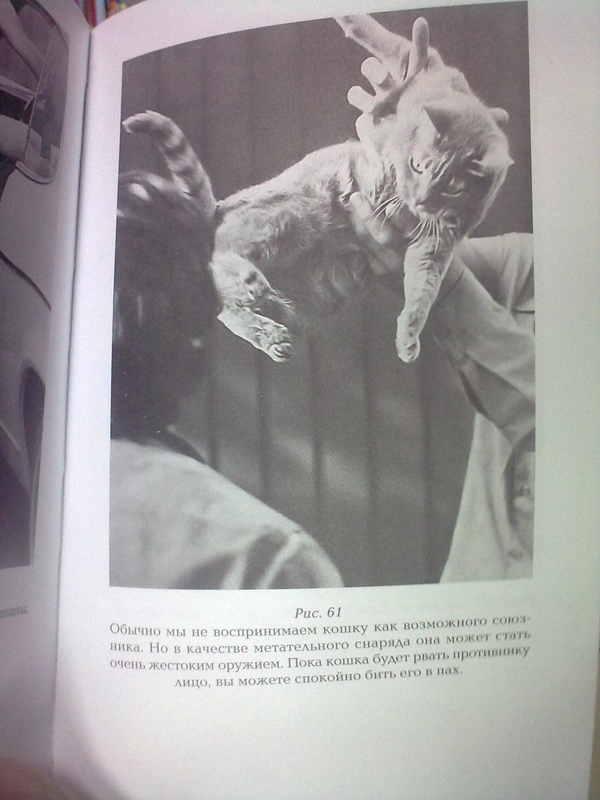 600x800, 263 Kb / кот, самозащита