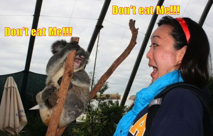 699x447, 86 Kb / диалог