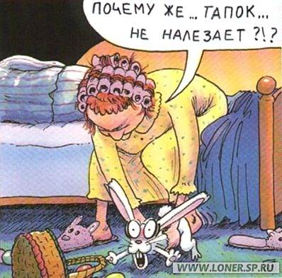 398x393, 44 Kb / тапки, заяц