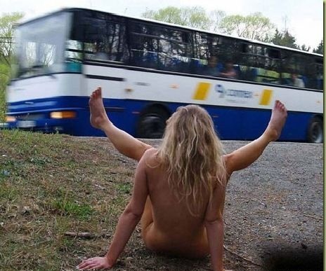 464x387, 72 Kb / автобус, показала