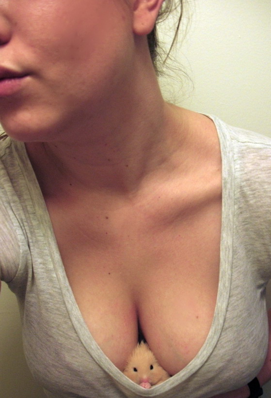 559x822, 101 Kb / хомяк, декольте