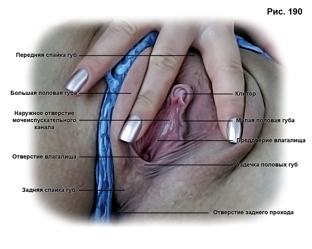 1280x1024, 279 Kb / пособие