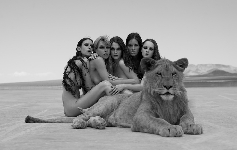 1000x633, 92 Kb / девушки, львица