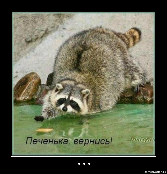 560x582, 62 Kb / енотик