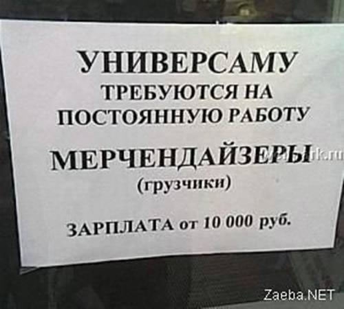 500x450, 81 Kb / объявление, грузчик