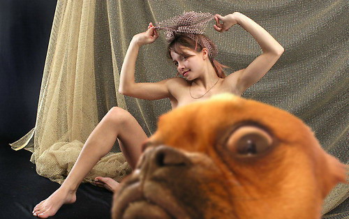 500x314, 60 Kb / девушка, пес, облом