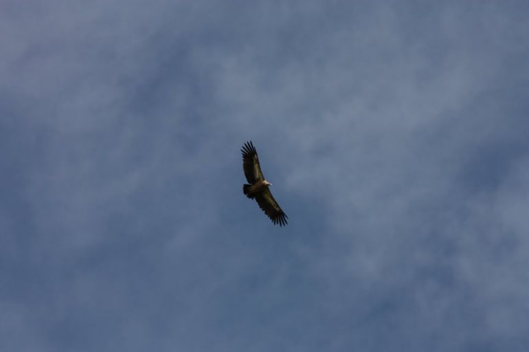 770x513, 11 Kb / тибет, похороны