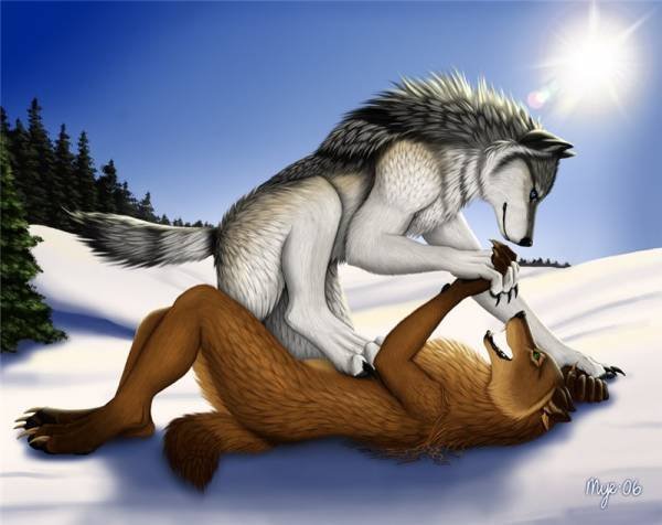 600x476, 45 Kb / волки