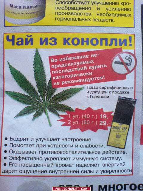 480x640, 53 Kb / конопля