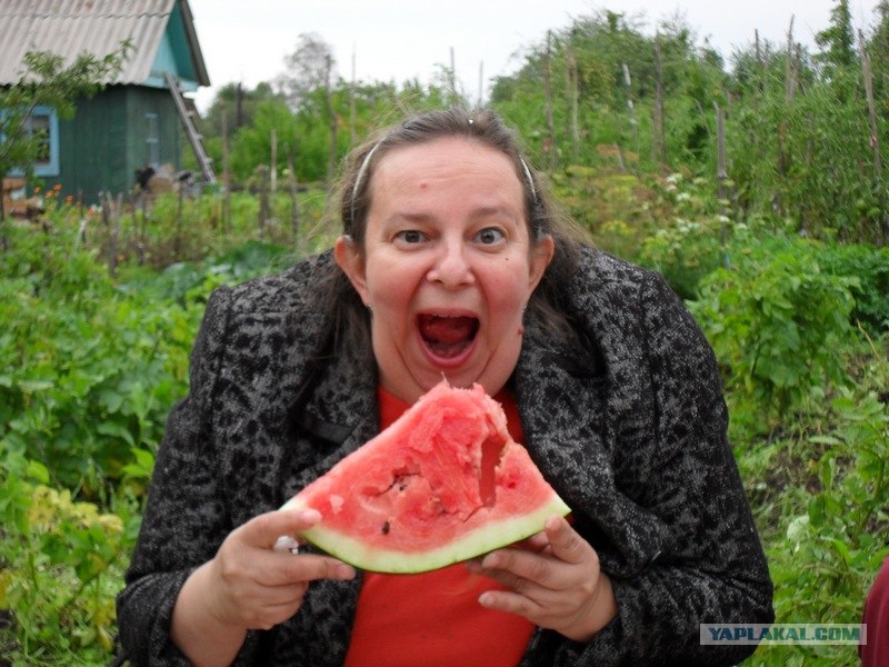 800x600, 126 Kb / арбуз