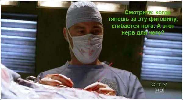 600x330, 42 Kb / операция