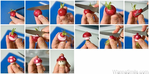 500x251, 115 Kb / гриб, мухомор, марио, редиска