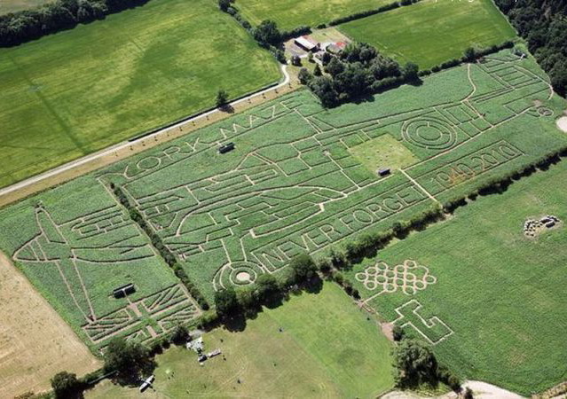 639x450, 117 Kb / рисунок, самолет