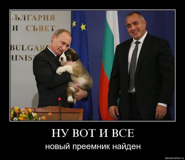 604x520, 64 Kb / путин, собака, преемник, подарок, политика, демотиватор