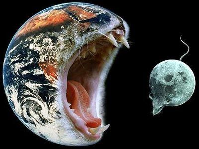 400x299, 26 Kb / земля, луна, мышь, кот