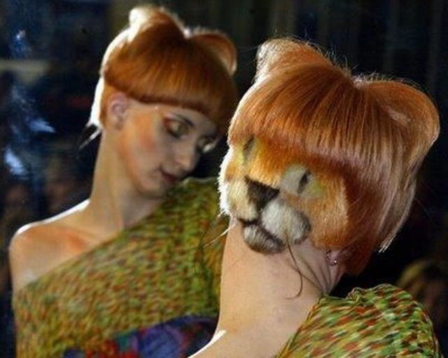 639x511, 79 Kb / прическа, кошка