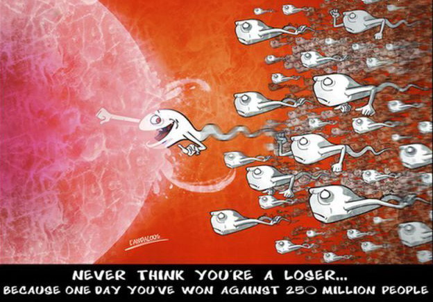 624x435, 99 Kb / победитель, яйцеклетка, сперматозоиды