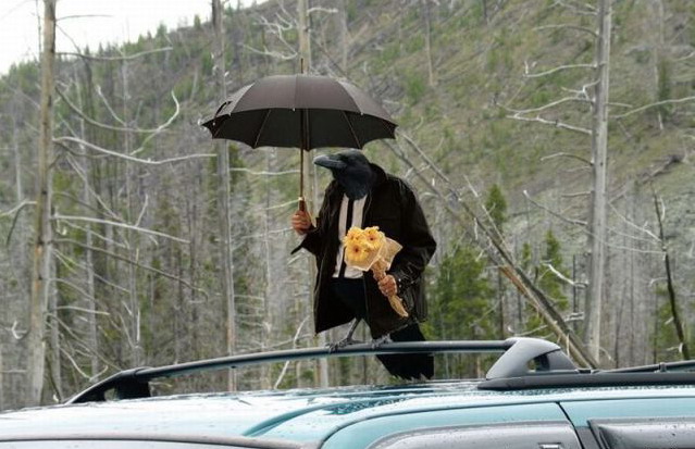 639x413, 83 Kb / жених, авто, зонт