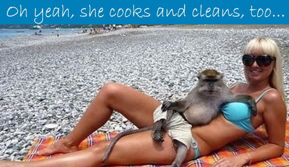 590x341, 72 Kb / обезьяна, девушка, пляж